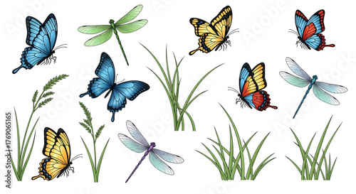 Butterflies and Dragonflies with Grass Illustration.