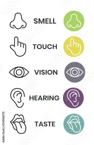 Human senses icon set. Vision eye, smell nose, hearing ear, touch hand, taste mouth with tongue. Simple line icons and black circle. Five senses of human nervous system. Vector illustration.