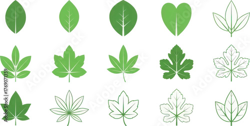 Collection of various green leaf shapes and outlines