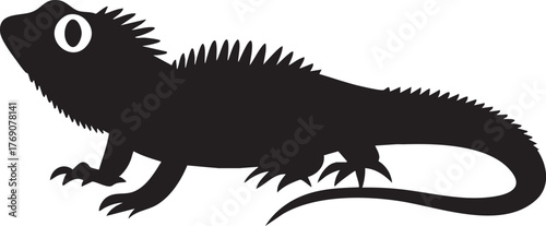 Detailed Reptile Outlines and Icons