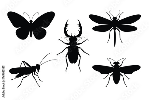 Collection of insect silhouettes