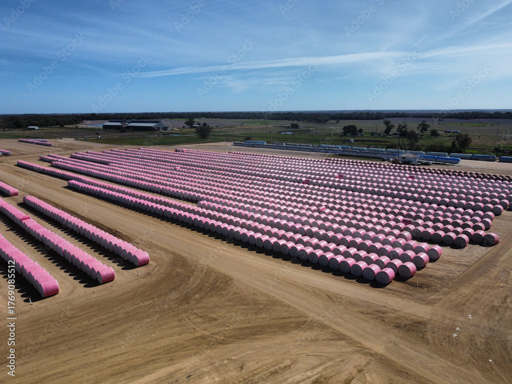 Fototapeta premium rows of round cotton bales