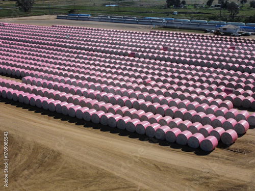 rows of round cotton bales