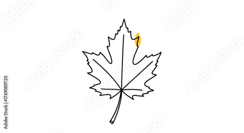 A graphic line drawing of a maple leaf with serrated edges and distinct lobes, highlighted by a subtle yellow mark on one of its upper points.