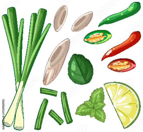 Asian Cuisine Ingredients Vector with Herbs and Spices