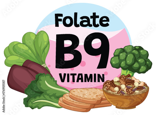 Folate Vitamin B9 Rich Foods Vector Illustration