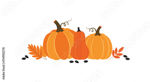 An autumn harvest arrangement with pumpkins, leaves, and pumpkin seeds on a white background.