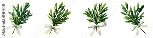 Watercolor winter greenery bouquet with white ribbon, set on transparent background