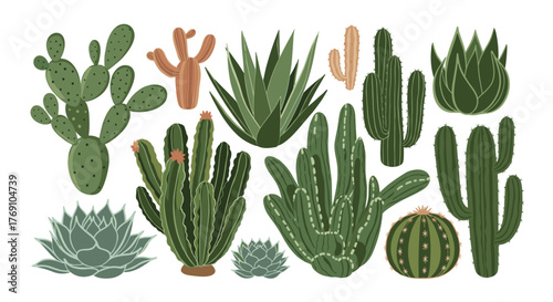 Collection of hand-drawn cacti and succulents on white background.