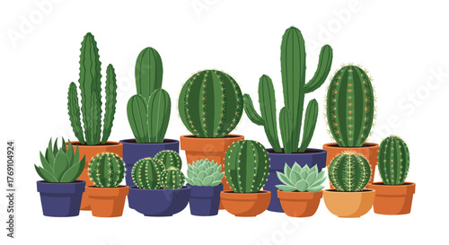 A variety of potted cacti and succulents are arranged together on a white background.