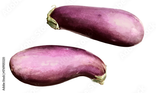 水彩で描いた茄子の素材セット