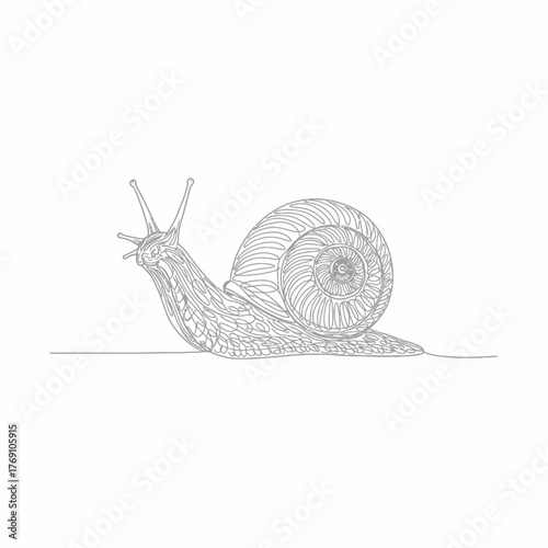Intricate snail slowly crossing frame