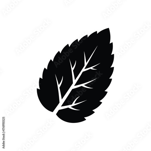 Black silhouette of a serrated leaf with veins plant