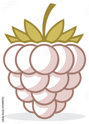 Stylized white raspberry with green leaves and brown stem isolated on white