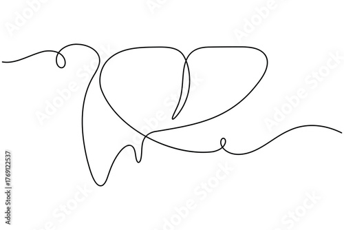 Human Liver anatomy continuous one line drawing on white background minimalist internal organ outline vector illustration