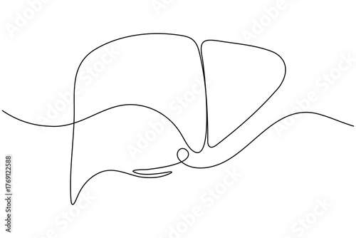 Human Liver anatomy continuous one line drawing on white background minimalist internal organ outline vector illustration