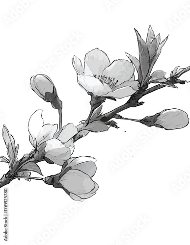 Ilustração em vetor de delicada flor de cerejeira em ramo com botões e folhas verdes