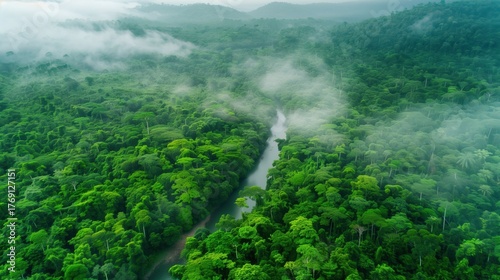 International Day for Biosphere Reserves. aerial view of tropical rainforest biosphere reserve, dense canopy with emergent trees, winding river cutting through pristine jungle, biodiversity hotspot