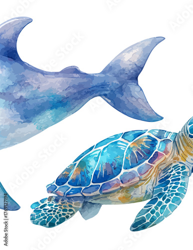 Ilustração em aquarela de um tubarão e uma tartaruga marinha nadando juntos em um fundo branco.
