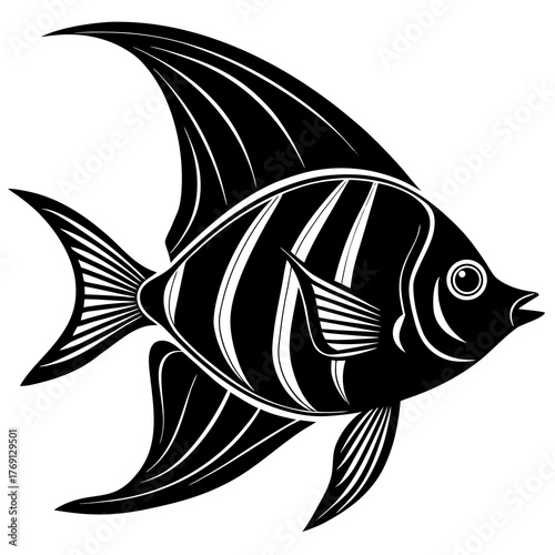 Stylized black and white angelfish illustration