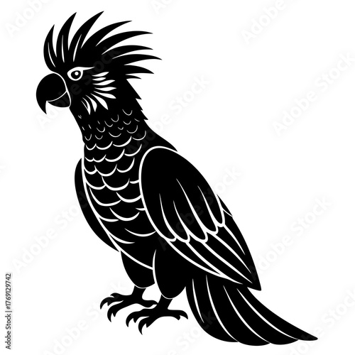 Black silhouette of a cockatoo bird with a crest on a white background