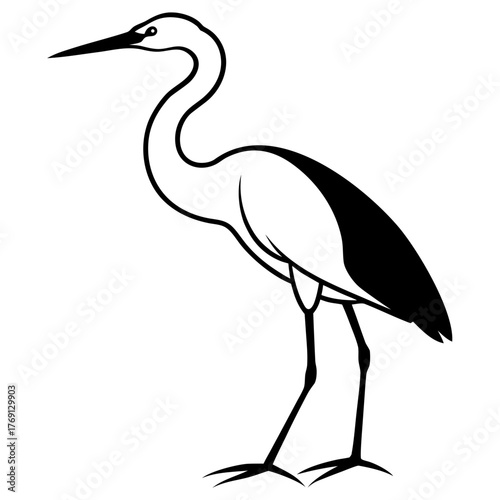Black and white illustration of a heron standing on a white background