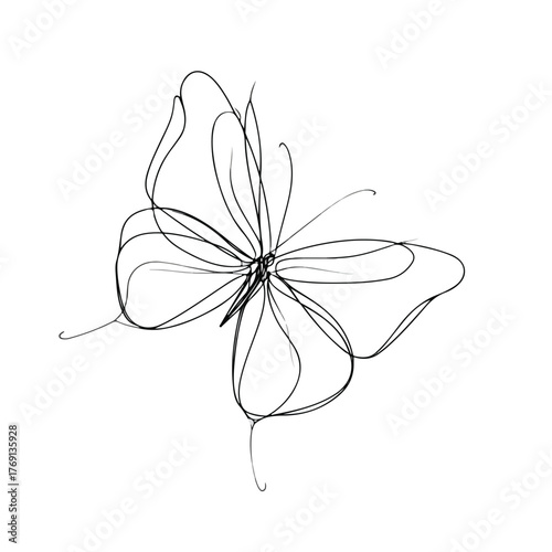 Elegant Butterfly Abstract Line Drawing