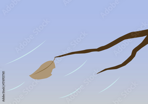 冬の風と木の葉