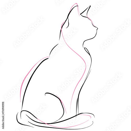 Elegant single-line cat outline illustration