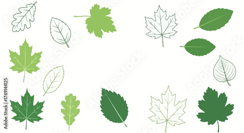 Collection of various green leaves, showcasing diverse shapes and intricate vein patterns on a white background.