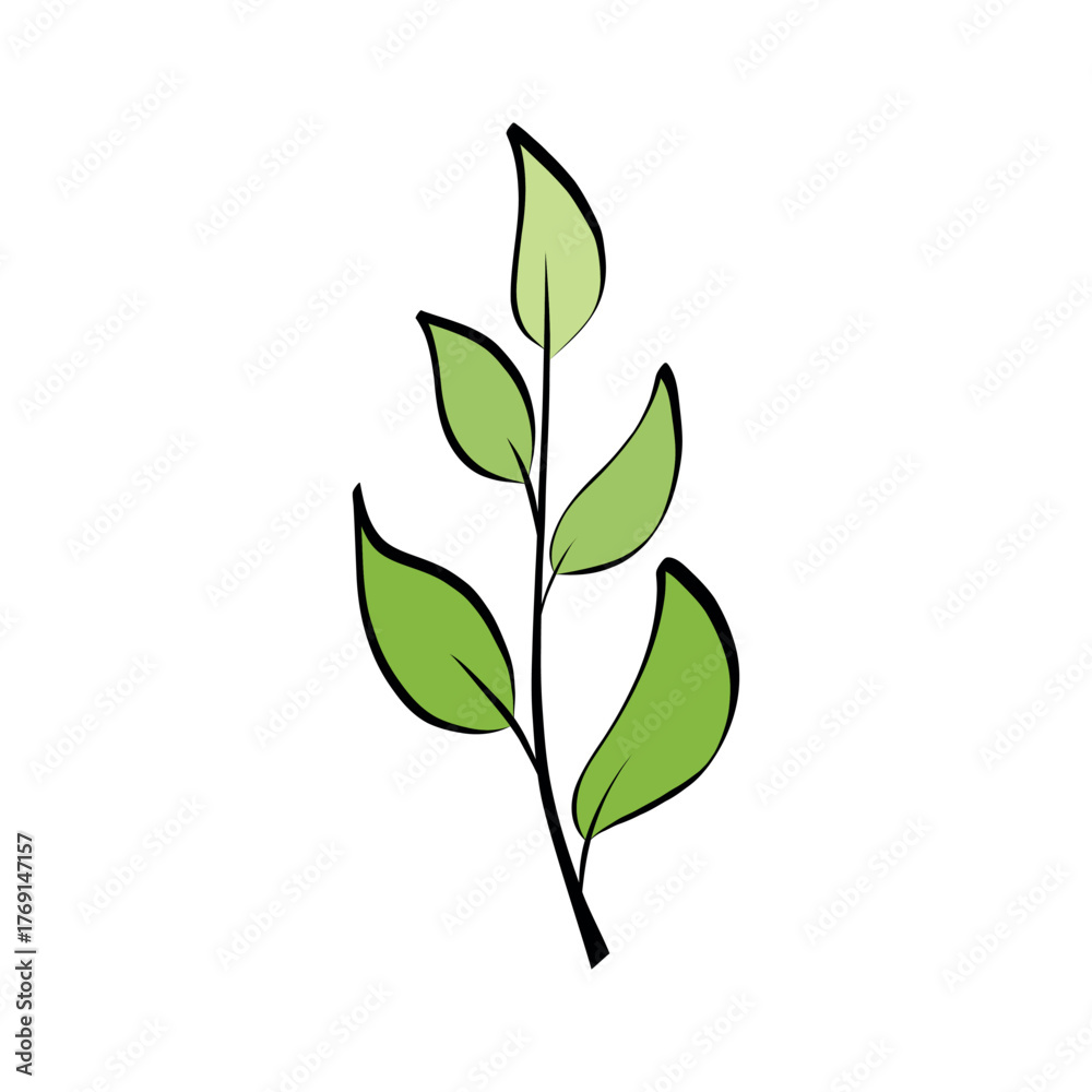 Fototapeta premium Botanical branch with green leaves