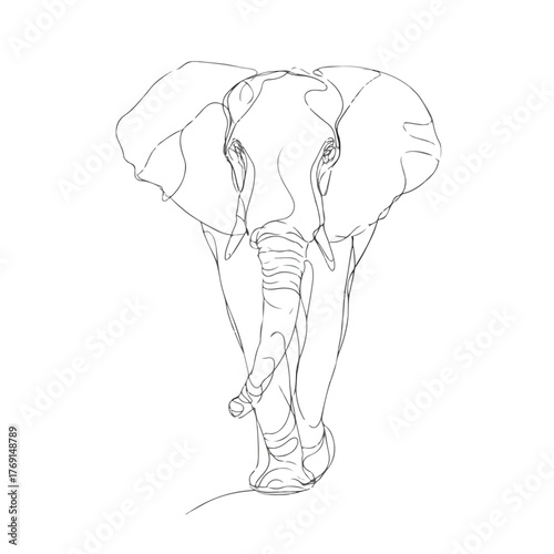 Elegant Elephant in Continuous Line Art