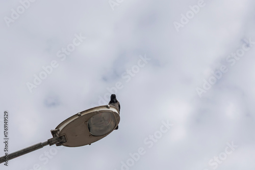 Old street lamp against the sky with clouds. View from below.