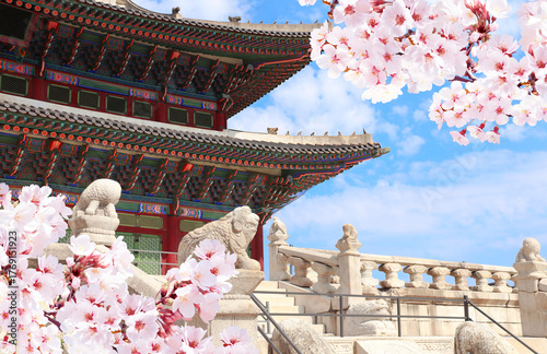 Photography Sakura flowers and stone figures of mythical creatures, Geunjeongjeon Hall, Gyeongbokgung Palace Complex, Seoul, South Korea