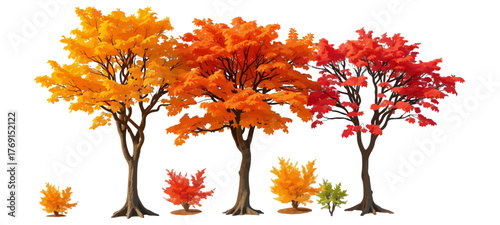 autumn tree vector