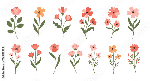 A vibrant collection of hand-drawn floral illustrations featuring various pink, peach, and orange blossoms with green leaves, perfect for spring designs.
