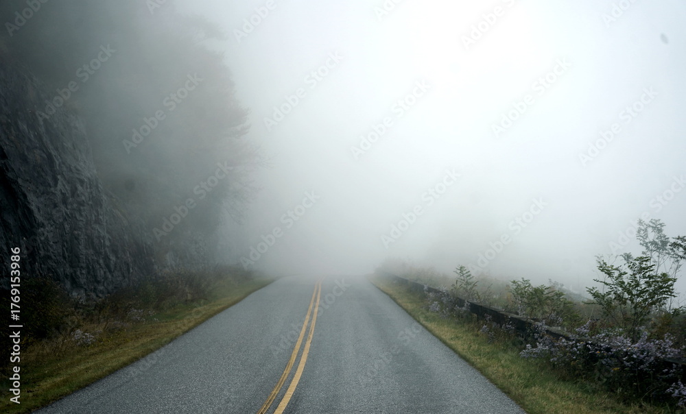Naklejka premium Misty drive through the forest