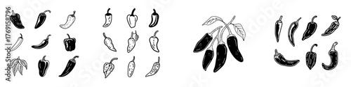 Hand drawn chili pepper icons and botanical elements collection