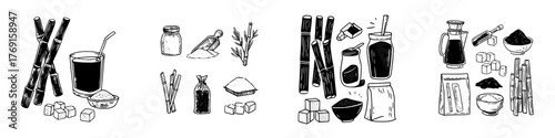 Hand drawn collection of sugarcane products and raw ingredients