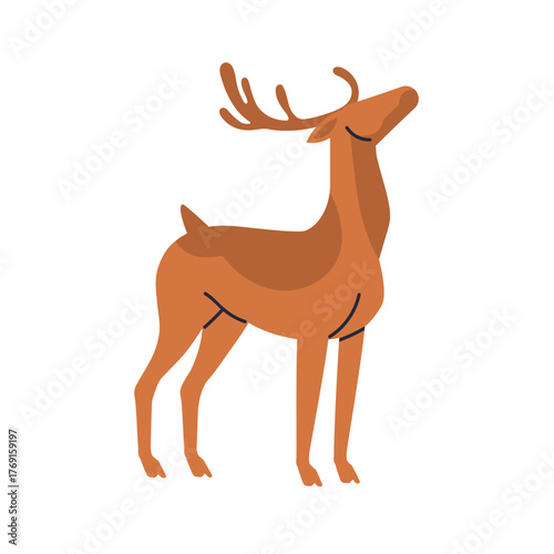 Reindeer, wild forest animal. Deer with antlers, horns. Christmas north fawn,...