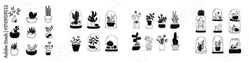 Hand drawn potted plants and terrariums in black and white sketch style