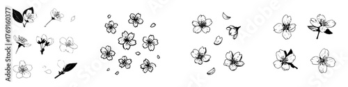 Collection of hand drawn cherry blossom flowers and falling petals sketch