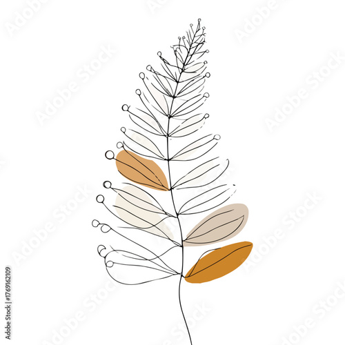 Elegant single line fern leaf illustration