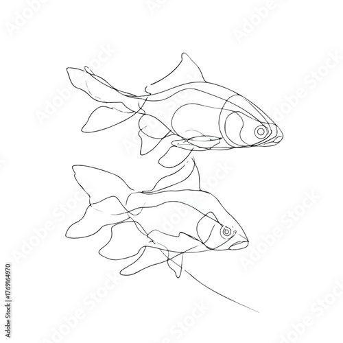 Elegant single line fish swimming illustration