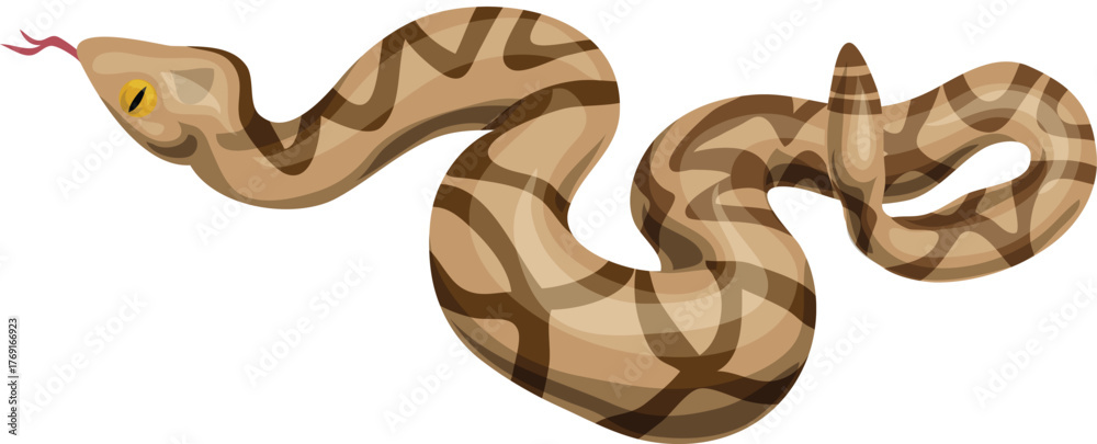 Obraz premium Rattlesnake, Reptile venomous wild jungle animal