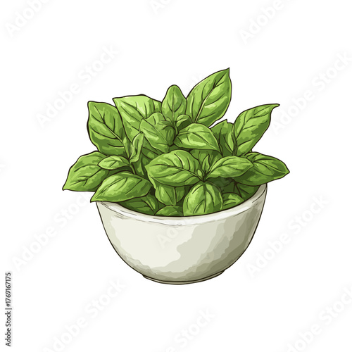 pesto hand drawn illustration