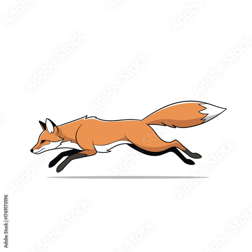 An agile orange fox is in full stride across a white background.