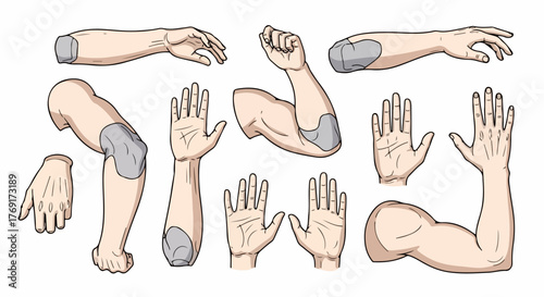 Human arm poses reference sheet with transparent background