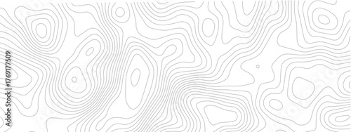 Topographic map background contour lines pattern vector illustration for geographic cartographic and terrain concepts
