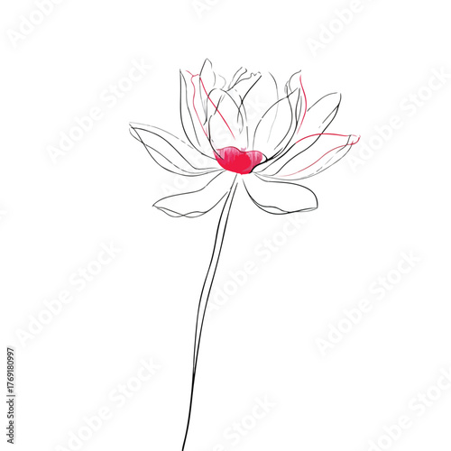 Elegant Lotus Flower in Continuous Line Art